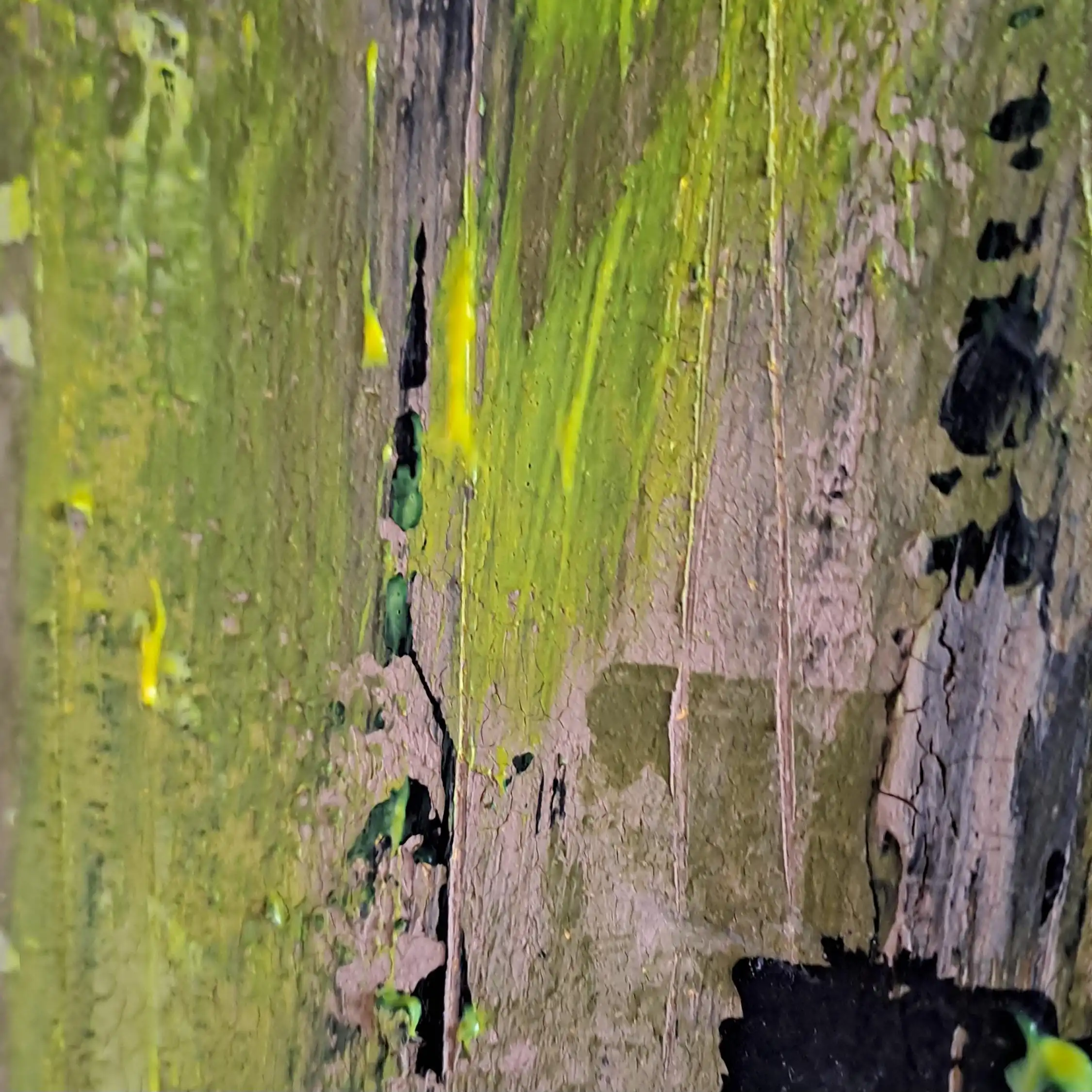 Astwerk - Bild 2