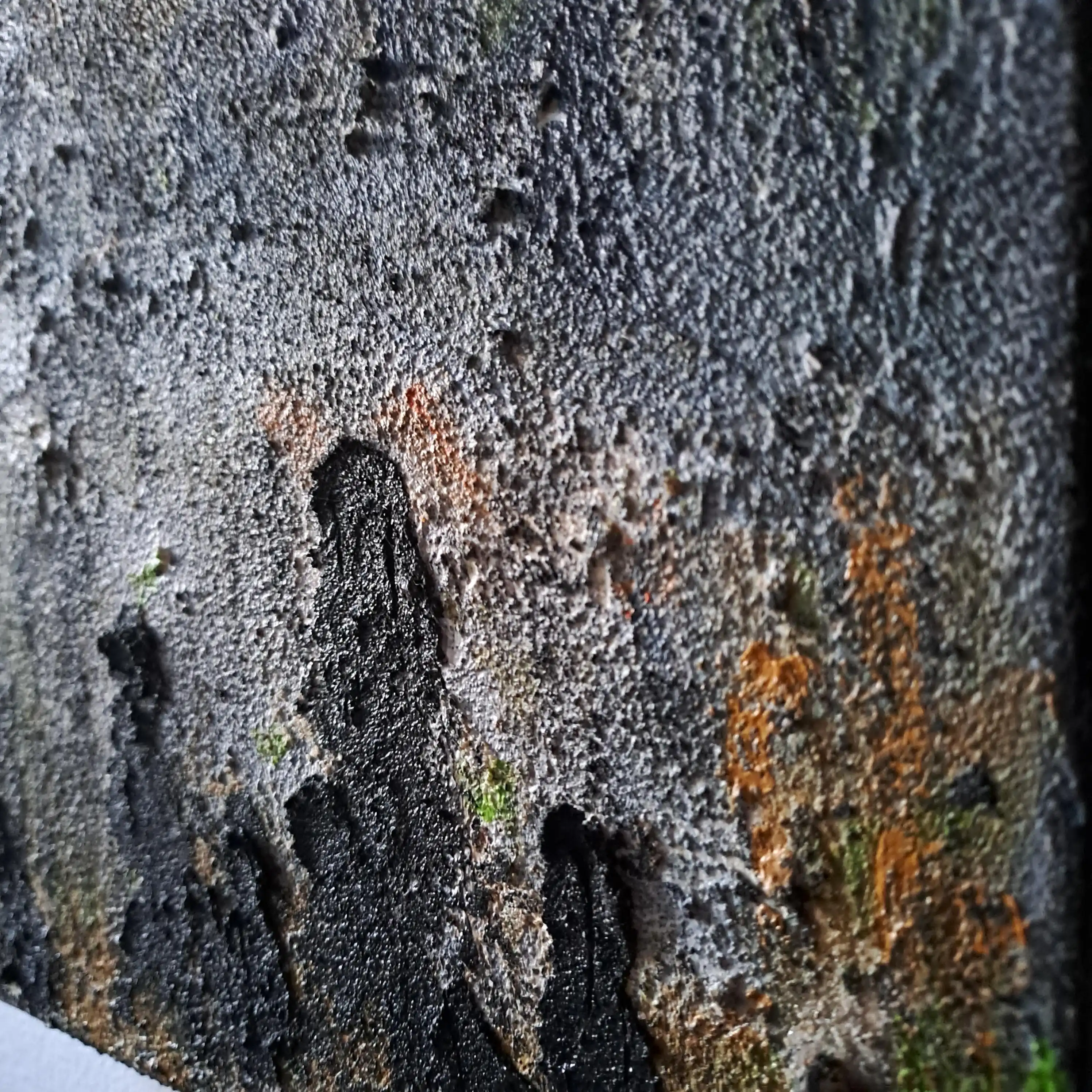 Begegnungen - Bild 3