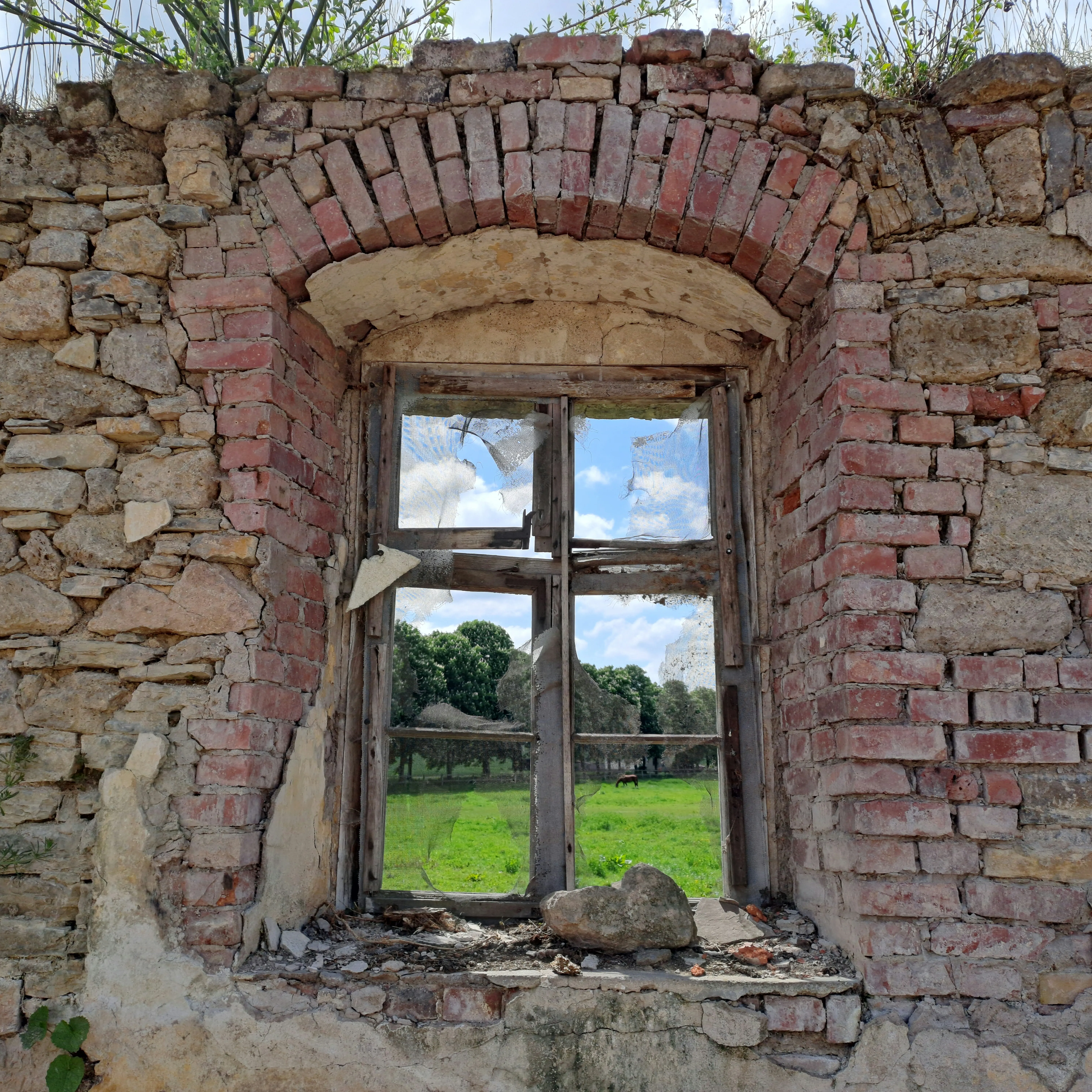 Fenster vom Schäferhof